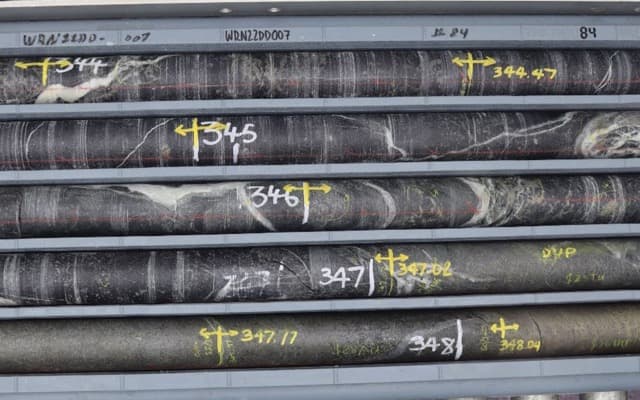 Lunnon Metals reports more nickel hits at Warren