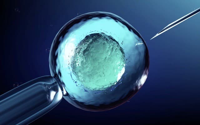 Memphasys partners with Swedish IVF clinic ahead of Felix commercialisation