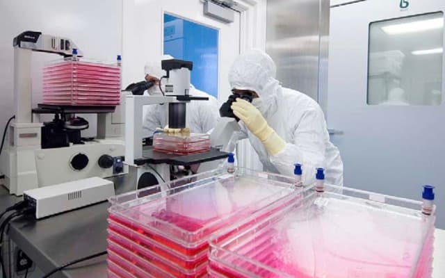 Mesoblast sees strong revenue growth as maintains busy clinical program with upcoming Ryoncil launch