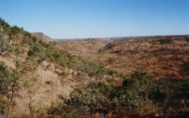 Metalicity completes Napier Range zinc acquisition