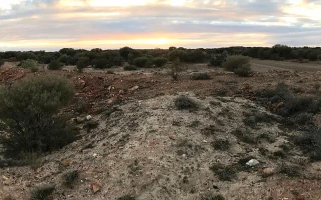 Metalicity and Nex Metals announce best intersections to date from Kookynie gold drilling