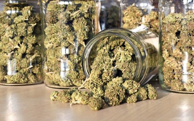 MMJ announces timely recreational cannabis deal through Harvest One in Canada