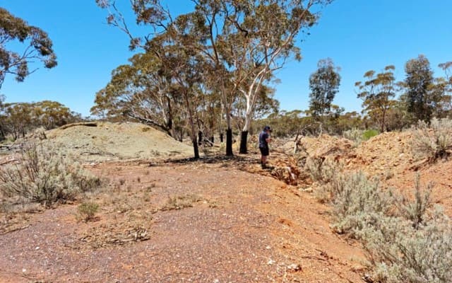 Monger Gold kicks-off mapping and sampling at Mt Monger South