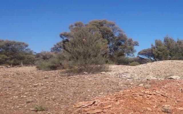 Mont Royal Resources floats on ASX in search of gold following oversubscribed IPO