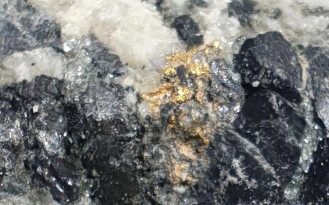 Navarre Minerals and Catalyst Metals hit high-grades and visible gold at Tandarra