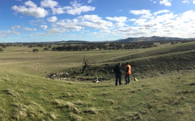 Navarre Minerals and Catalyst Metals unearth bonanza gold at Tandarra