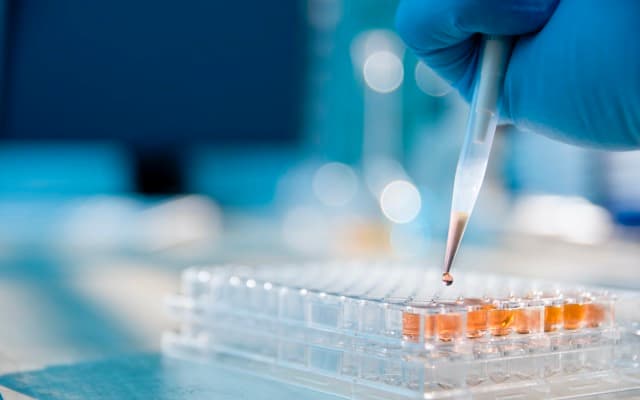 Neuren’s NNZ-2591 drug candidate alleviates Pitt Hopkins and Angelman syndrome symptoms