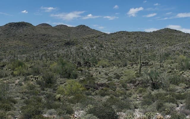 New World Resources targeting fast-track development opportunities in Arizona