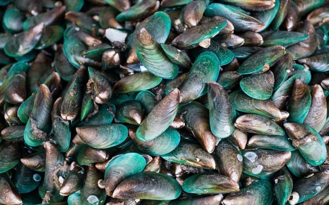 New Zealand Coastal Seafoods locks in EU supply agreement with German nutraceuticals company