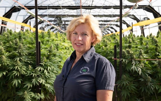 Ongoing cannabis product demand drives more revenue growth for ECS Botanics