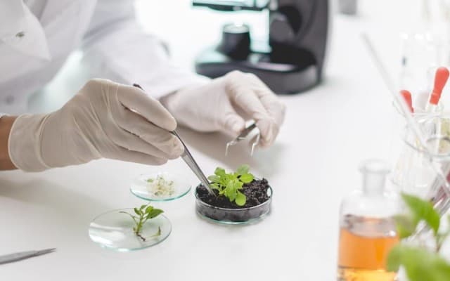 OpenDNA teams up with Better Nature to drive online sales into China