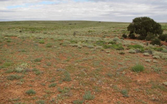 OZ Minerals and Red Metal team up in hunt for greenfield discoveries