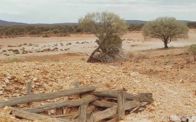 OZZ Resources identifies gold and copper anomalies at historic Rabbit Bore project