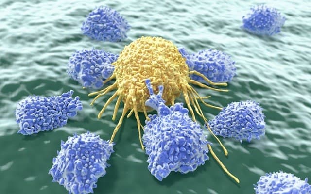 Pre-clinical data from Patrys’ study with Yale confirms PAT-DX1 targets and kills brain cancer stem cells