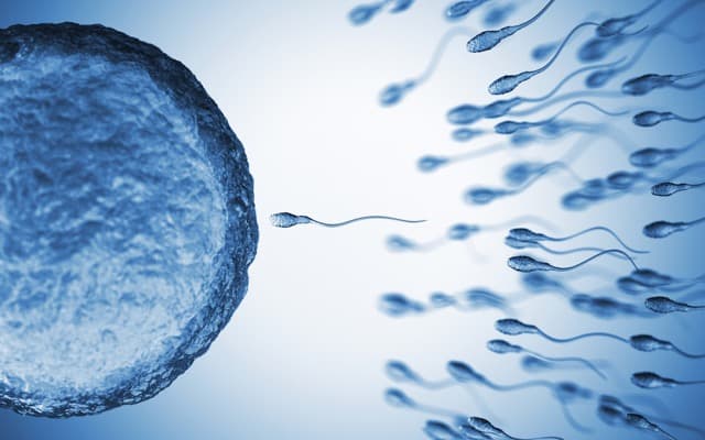 Peer review confirms Memphasys’ Felix system superior to conventional sperm preparation for human IVF