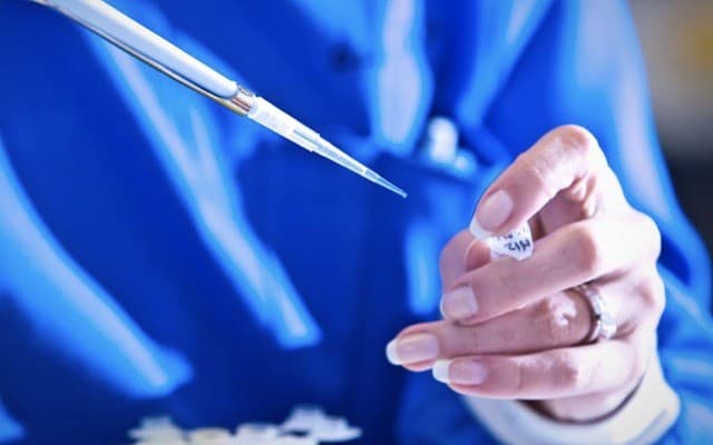 Phylogica reports positive peptide vaccine T-Cell expansion results in vivo