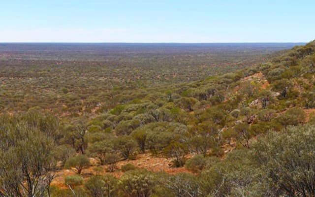 Podium Minerals boosts Parks Reef platinum group metal resource by more than 50%