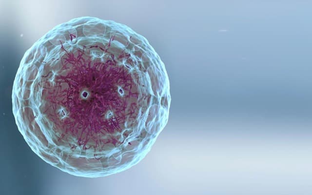 Prescient Therapeutics to progress innovative pipeline of cancer treatments with capital raise