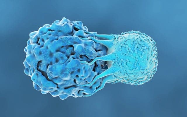 Prescient Therapeutics’ PTX-100 continues showing promising results in clinical T cell lymphoma trial