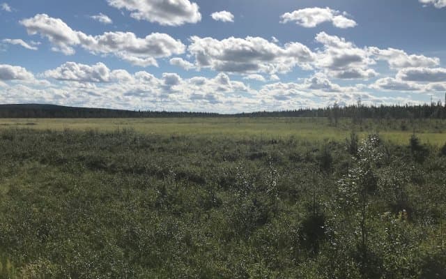 Pursuit Minerals reports ‘exceptional’ grade vanadium concentrate at Koitelainen Vosa