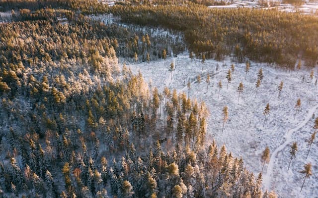 Ragnar Metals gains off road permit from Swedish authorities, plans post COVID-19 exploration of Tullsta nickel project