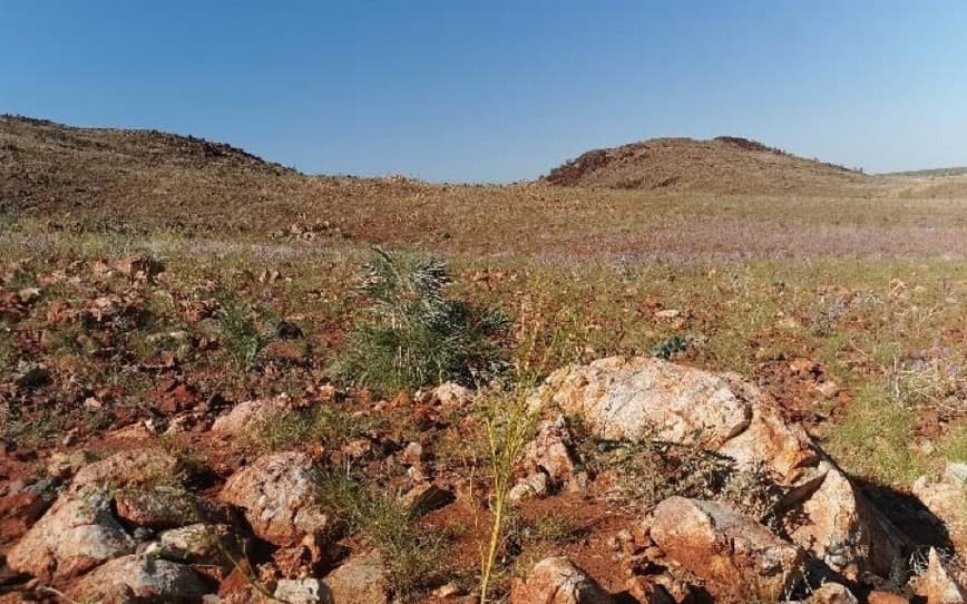 Raiden Resources defines new high-priority lithium targets at Andover South