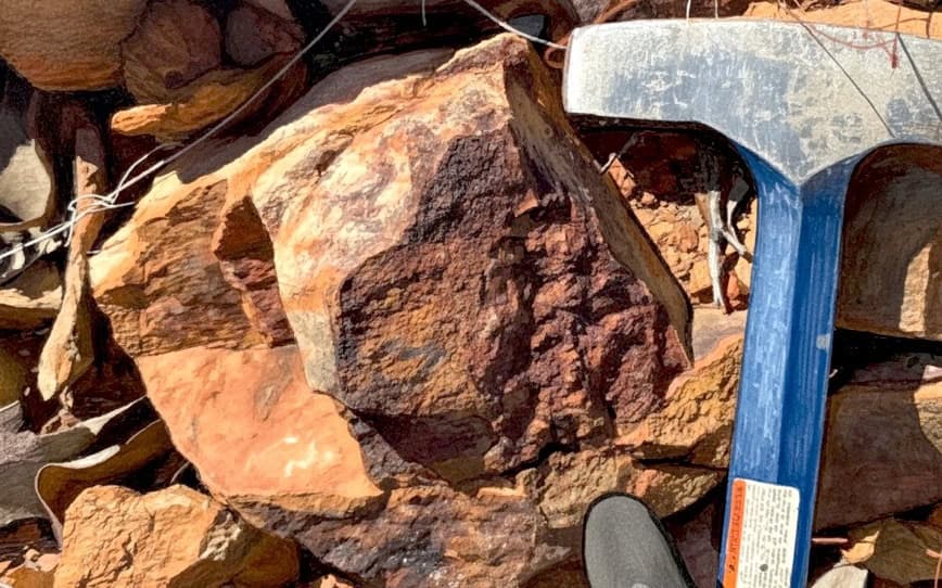 RareX Identifies New Mineralised Veins in First Exploration Phase at Mt Mansbridge HRE Project