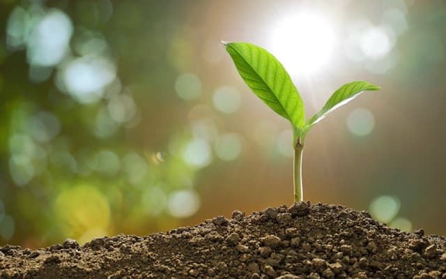 RLF AgTech targets global growth and agricultural change with public listing