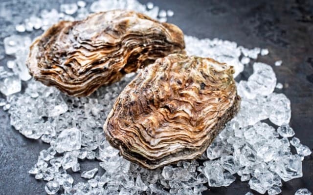 Sizing up the latest seafood IPO East 33 against the industry