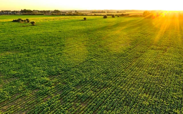 South Harz Potash selects driller for German project as it targets 325Mt resource