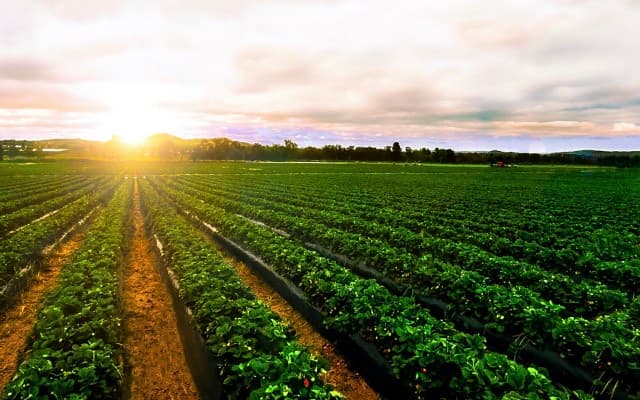 South Harz Potash gives driller green light to begin at German project