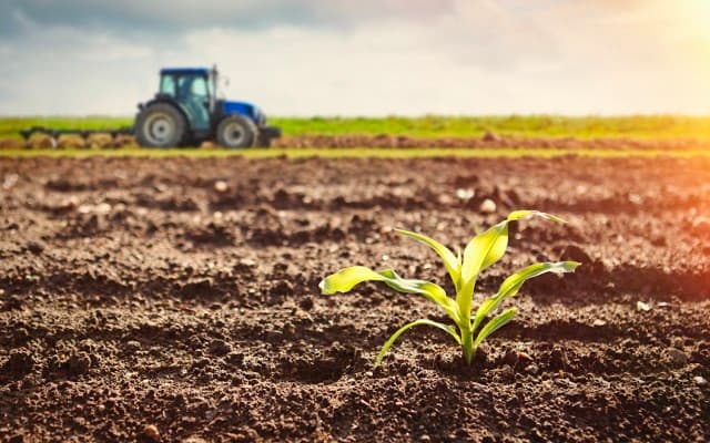 South Harz Potash secures landowner approval for drilling at Ohmgebirge project