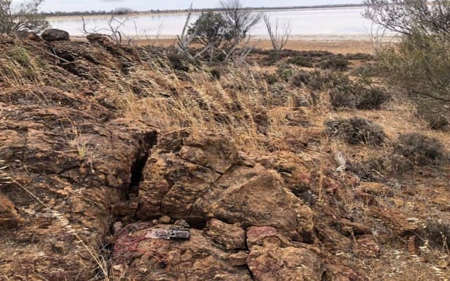 Sultan Resources says geological results indicate Lake Grace similar to Julimar