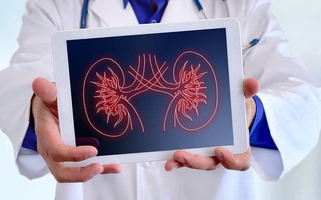 Telix Pharmaceuticals readies recruitment for phase 3 trial in renal cancer