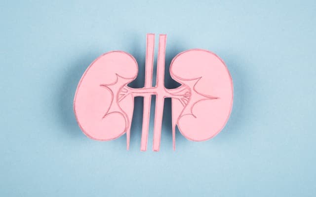 Telix withdraws Europe marketing application, AGL to close power station early and BHP prioritises Peru exploration