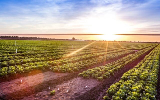 Terragen to list on ASX, aims to shake up farming sector with microbial soil and animal health technologies