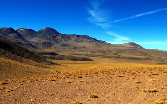 Tesoro Resources discovers new high-grade gold trend at El Zorro