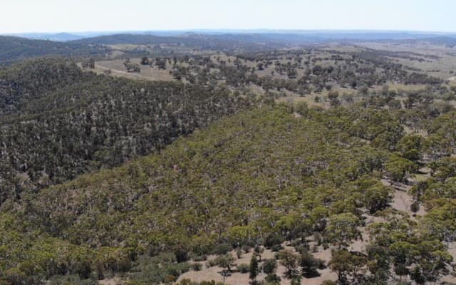 Thomson Resources starts drilling at historic Silver Spur deposit in Queensland