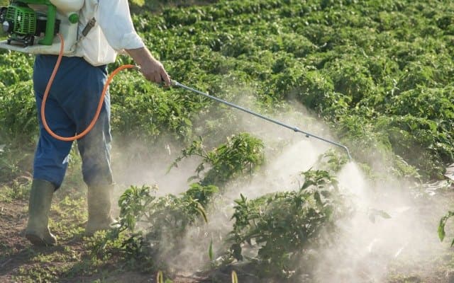 Initial toxicity results indicate Bio-Gene’s next generation insecticide is safe