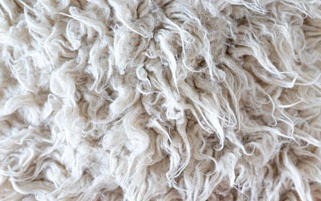 Veratin upcycles wool into fertiliser and other sustainable products