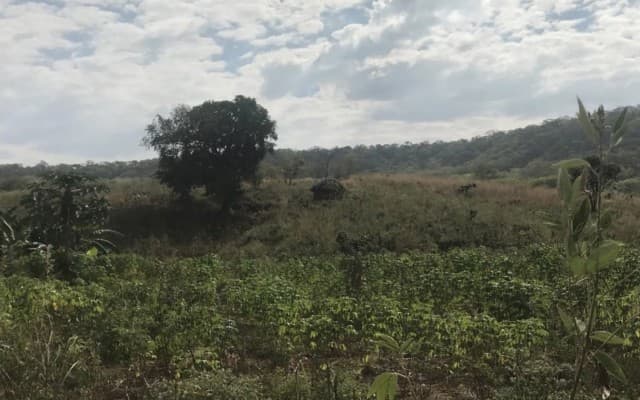 Volt Resources clears final hurdle ahead of mining licence grant at Bunyu graphite project