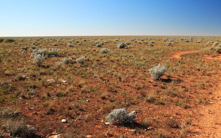 WA1 Resources signs milestone West Arunta native title agreement