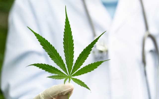 Wellnex Life to launch medicinal cannabis products into emerging SAS-B market with Chemist Warehouse