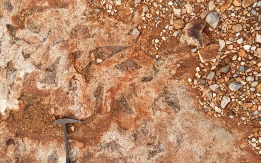 Wildcat Resources roars over lithium discovery at Tabba Tabba