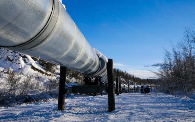 XCD Energy unveils 1.6 billion-barrel maiden oil resource for Project Peregrine